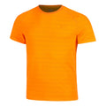 orange_5794