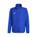 blue_5727