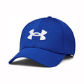 blue_5727