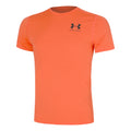 orange_5794