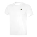 white_5677