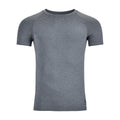 grey_5669