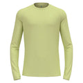 lime_8439