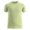 lime_8439