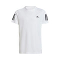 white_5677