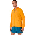 orange_5794