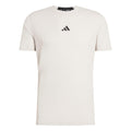 D4T T-Shirt Men - grey, black