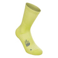 lime_8439