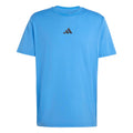 turquoise_5808