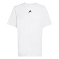 white_5677