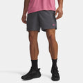 Vanish Woven 2.0 6in Shorts Men - grey, pink