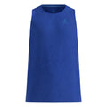 blue_5727