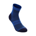 Performance Run Quarter  Laufsocken Unisex - blau