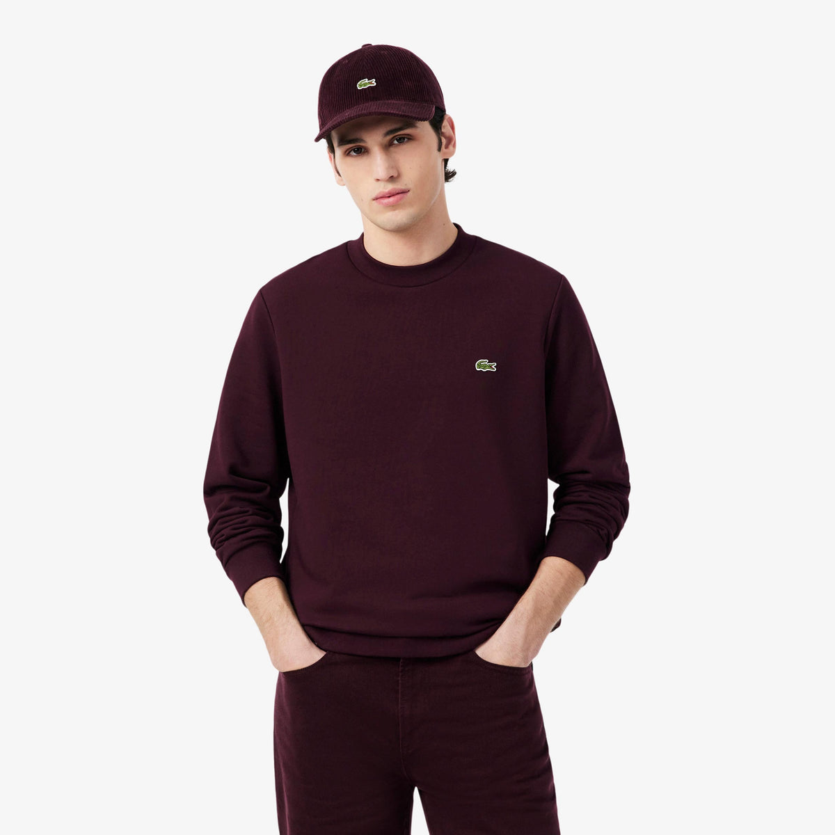 Lacoste Sweatshirt Men - brown