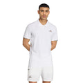 white_5677