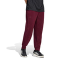 Cover Up Training pants Men - wine red